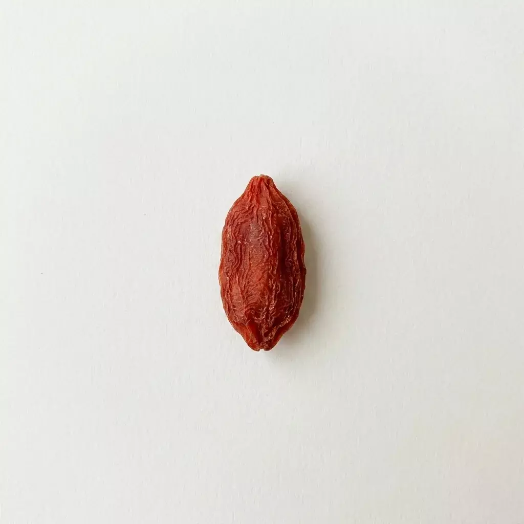 枸杞乾單顆特寫：天然枸杞呈暗紅色、表面皺摺自然