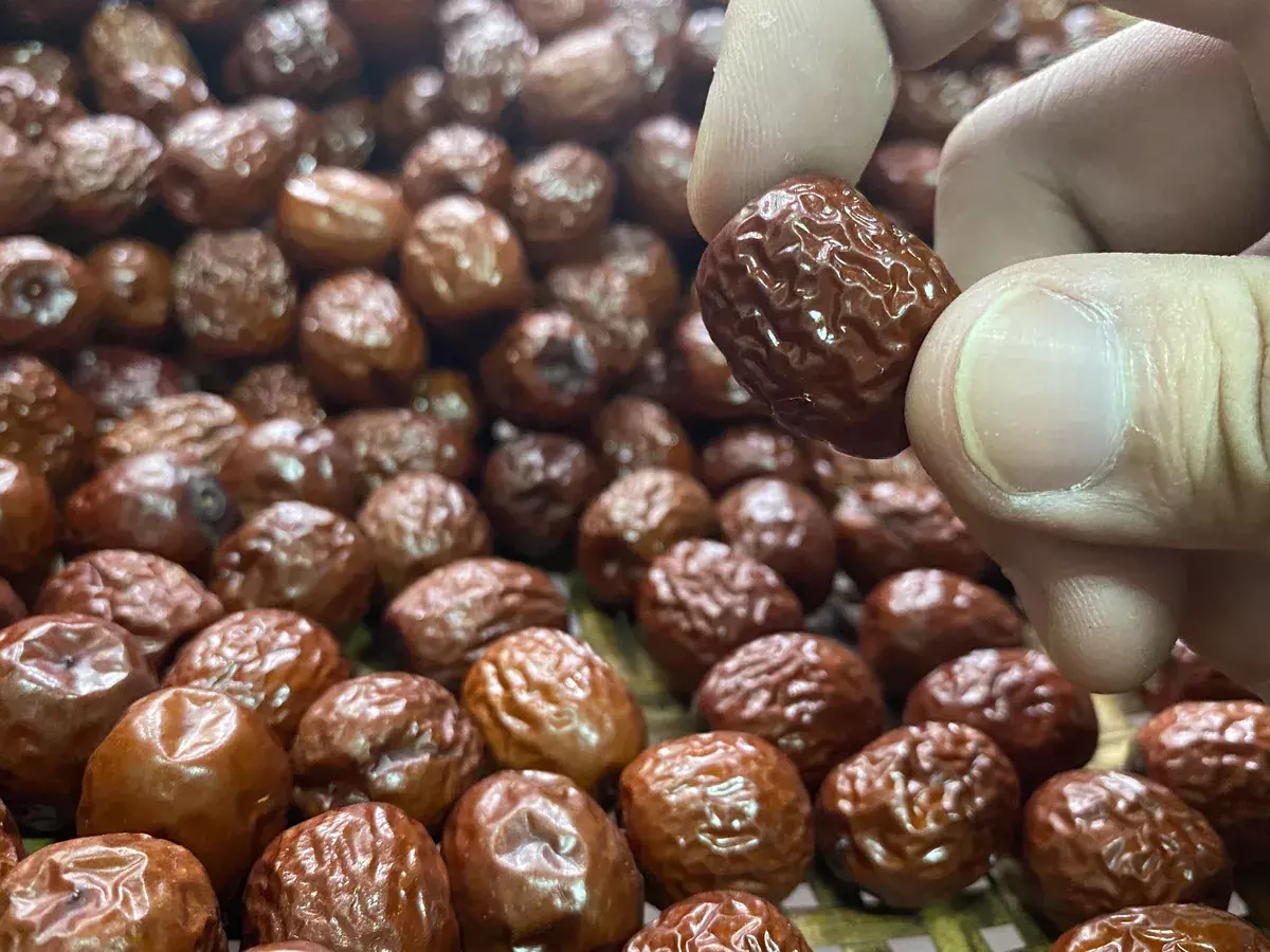 紅棗乾特寫：手持一顆紅棗，表皮皺摺與光澤是挑選時要看的地方